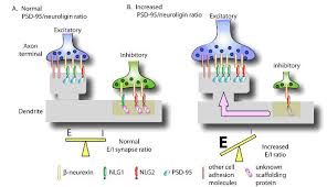 inhibitory是什么意思