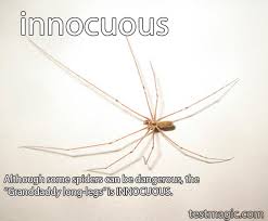 innocuous是什么意思