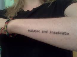 insatiate是什么意思