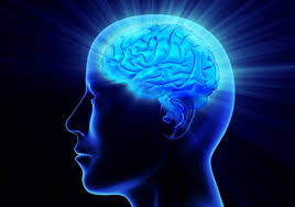 intelligence是什么意思