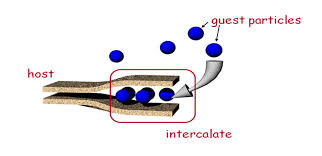 intercalate是什么意思