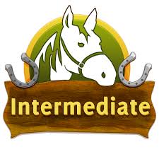intermediate是什么意思
