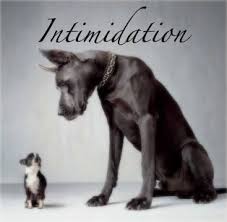 intimidation是什么意思