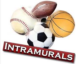 intramural是什么意思
