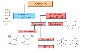 isomer是什么意思