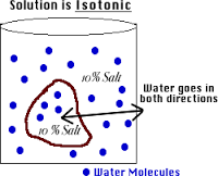 isotonic是什么意思