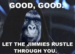 jimmies是什么意思