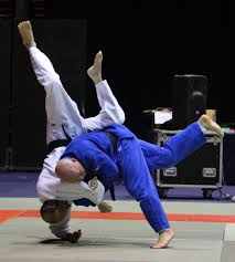 judo是什么意思