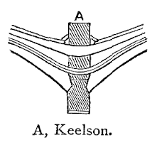 keelson是什么意思
