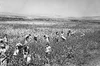 kibbutz是什么意思