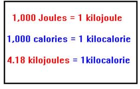 kilocalorie是什么意思