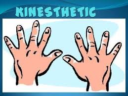 kinesthetic是什么意思
