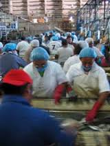 labor-intensive是什么意思