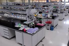 laboratory是什么意思