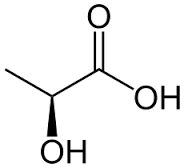 lactic是什么意思