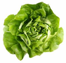 lettuce是什么意思