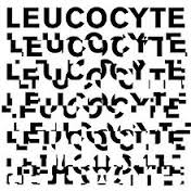 leucocyte是什么意思