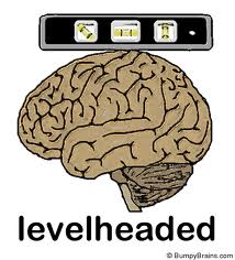 levelheaded是什么意思