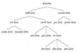 lexeme是什么意思