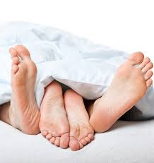 libido是什么意思
