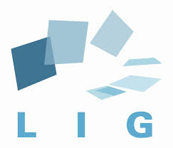 lig是什么意思