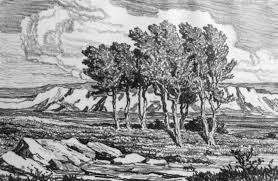 lithograph是什么意思