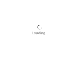 loading是什么意思