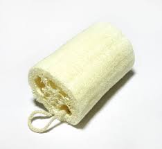 loofah是什么意思