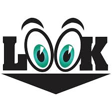 look是什么意思