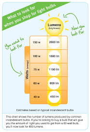 lumen是什么意思