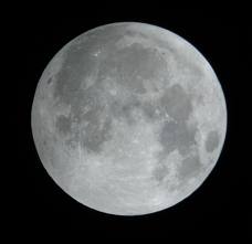 lunar是什么意思