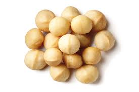 macadamia是什么意思