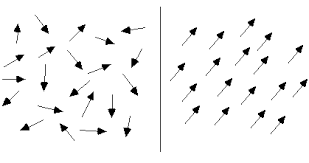 magnetization是什么意思
