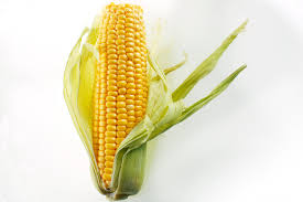 maize是什么意思