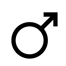 male是什么意思