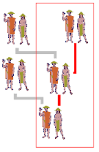 matrilinear是什么意思