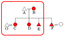 matrilocal是什么意思