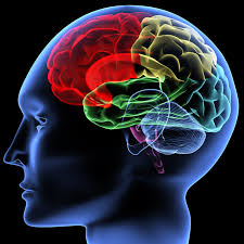 mental是什么意思