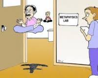 metaphysician是什么意思