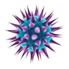 microbe是什么意思