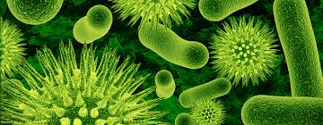microbial是什么意思