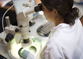microbiologist是什么意思