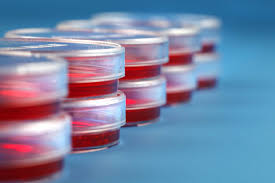 microbiology是什么意思