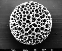microfossil是什么意思