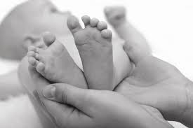 midwifery是什么意思