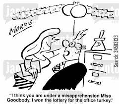 misapprehension是什么意思