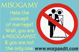 misogamy是什么意思