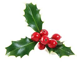 mistletoe是什么意思