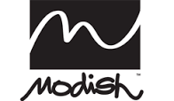 modish是什么意思