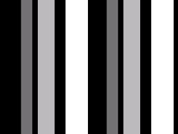 monochrome是什么意思
